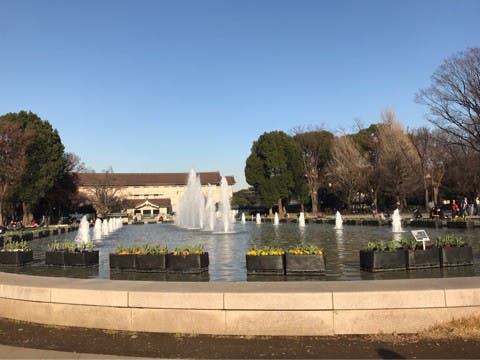 お出かけ | 上野動物園 | 高品質で安いネイルサロンABCネイル 池袋店