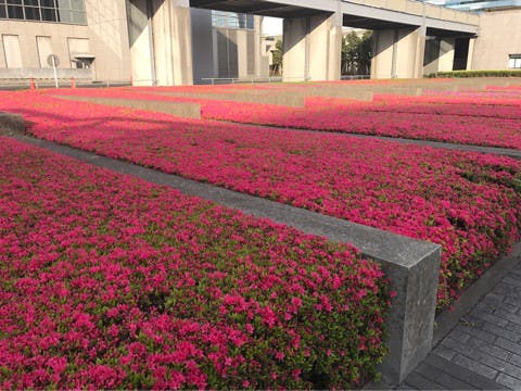 お出かけ | お花畑 | 高品質で安いネイルサロンABCネイル 銀座店