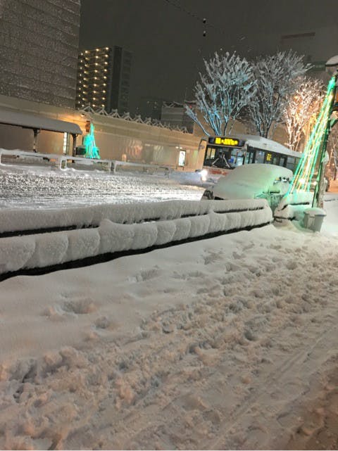 天気 | 雪 | 高品質で安いネイルサロンABCネイル 大宮店