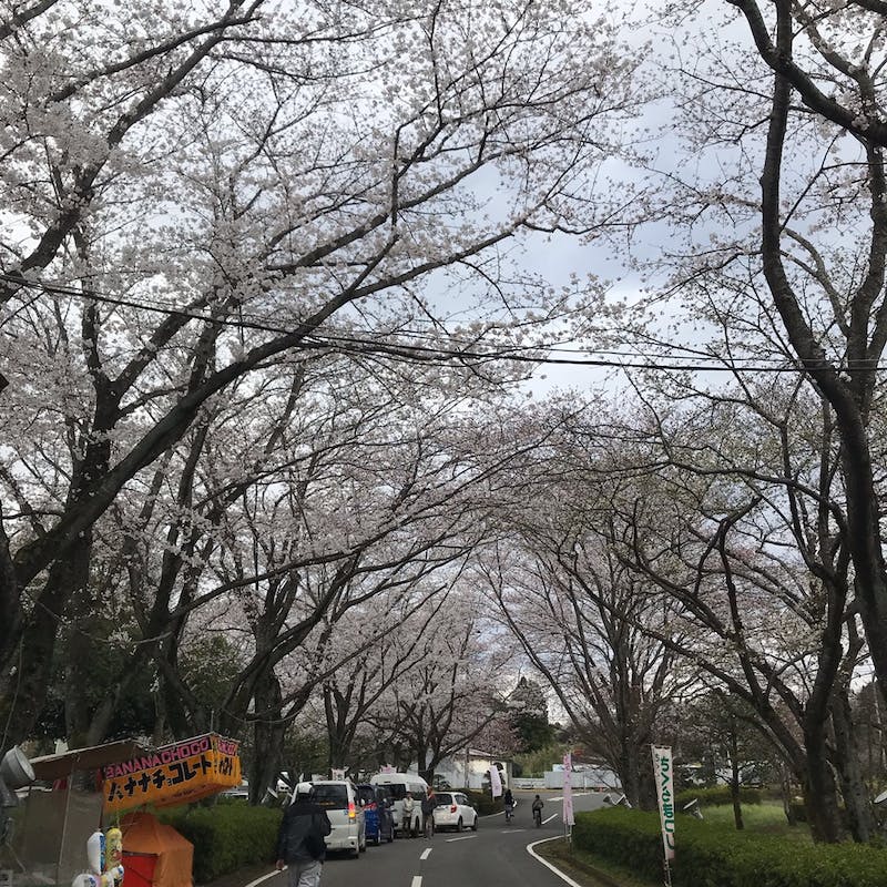 おでかけ | 桜 | 高品質で安いネイルサロンABCネイル　柏店