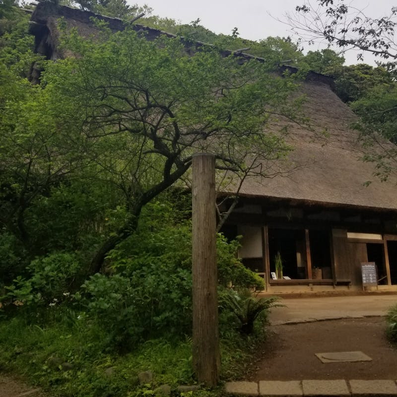 おでかけ | 三渓園 | 高品質で安いネイルサロンABCネイル　大宮店