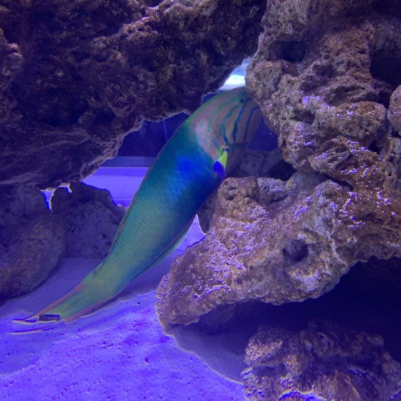 おでかけ | 水族館 | 高品質で安いネイルサロンABCネイル　池袋店