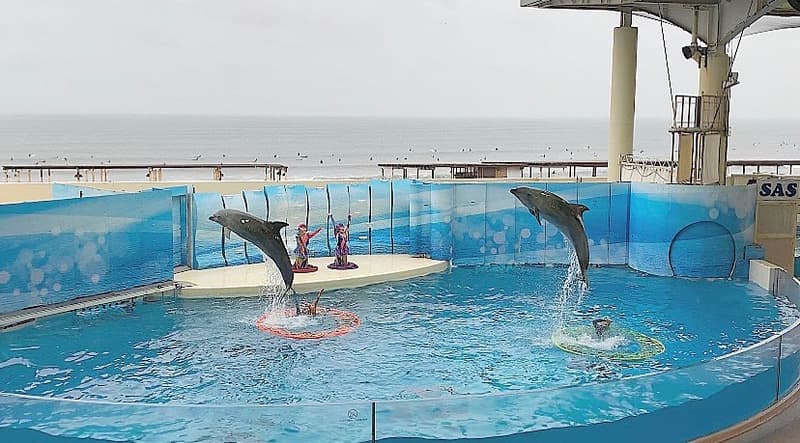 おでかけ | 水族館 | 高品質で安いネイルサロンABCネイル 銀座店