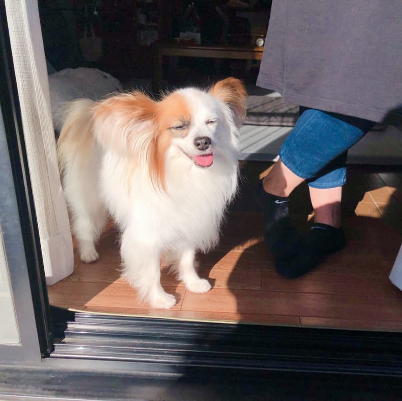 おでかけ | 実家 | 高品質で安いネイルサロンABCネイル 池袋店