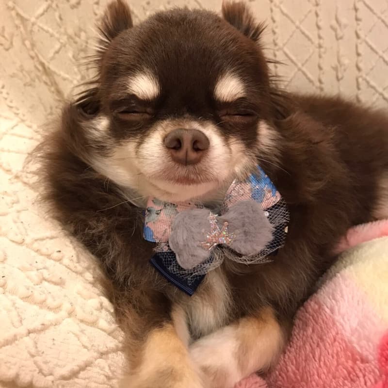 休日 | 高品質で安いネイルサロンABCネイル 新宿店