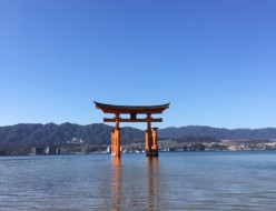 お出かけ | 広島 厳島神社 | 高品質で安いネイルサロンABCネイル 池袋店