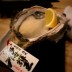 グルメ | 生牡蠣 | 高品質で安いネイルサロンABCネイル 新宿店