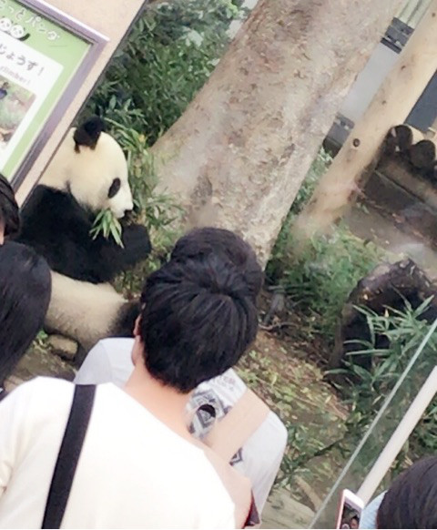 おでかけ | 上野動物園 | 高品質で安いネイルサロンABCネイル 銀座店