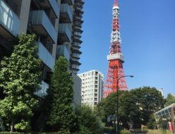 おでかけ | 東京タワー | 高品質で安いネイルサロンABCネイル 銀座店