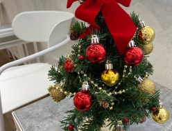 クリスマス | 高品質で安いネイルサロンABCネイル　町田マルイ店